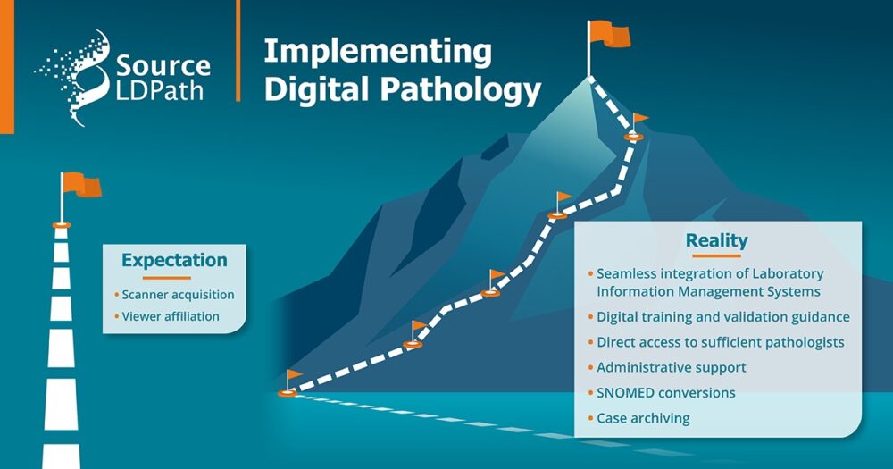 Your Guiding Hand to Implementing Digital Pathology