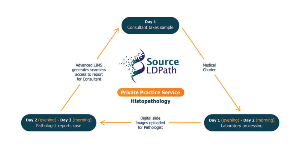Source LDPath Private Practice Turnaround Times