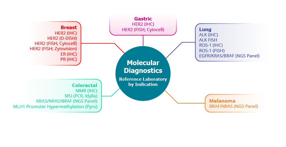Molecular Diagnosis Reference Laboratory by Indication Infographic