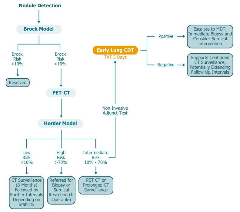 Lung Cancer Early Lung CDT Patient Pathway