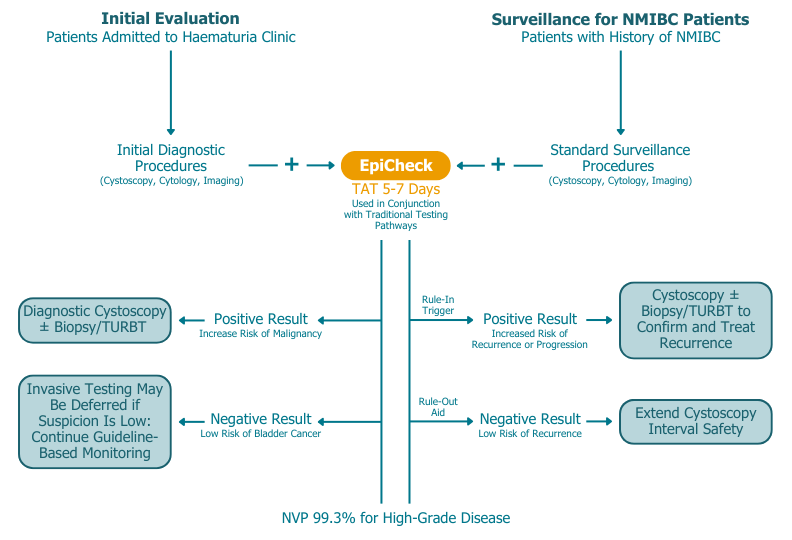 Bladder Cancer EpiCheck Patient Pathway