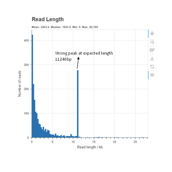 Raw Data Read Length Graph